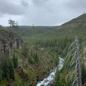 Meet your Posher, Mason